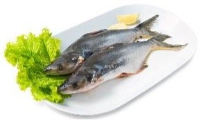 Ikan dori segar